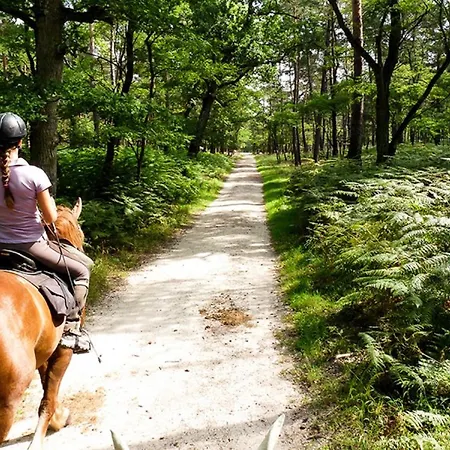 Millygite Chalet-on-wheels By The River 게스트하우스 3*